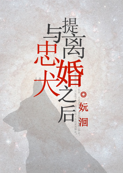 与忠犬提离婚之后